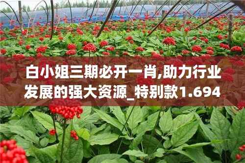 白小姐三期必开一肖,助力行业发展的强大资源_特别款1.694