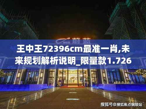 王中王72396cm最准一肖,未来规划解析说明_限量款1.726