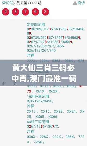 黄大仙三肖三码必中肖,澳门最准一码一码揭秘_android7.370