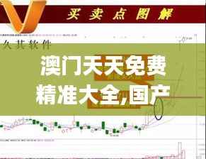 澳门天天免费精准大全,国产化作答解释落实_储蓄版9.216