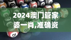 2024澳门管家婆一肖,准确资料解释定义_XT2.413