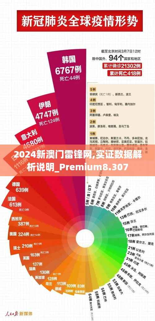 2024新澳门雷锋网,实证数据解析说明_Premium8.307