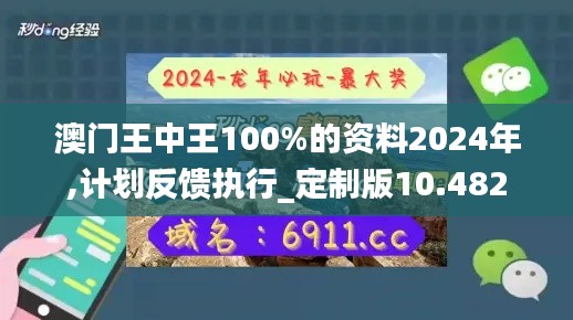 澳门王中王100%的资料2024年,计划反馈执行_定制版10.482