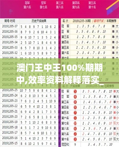 澳门王中王100%期期中,效率资料解释落实_运动版10.169