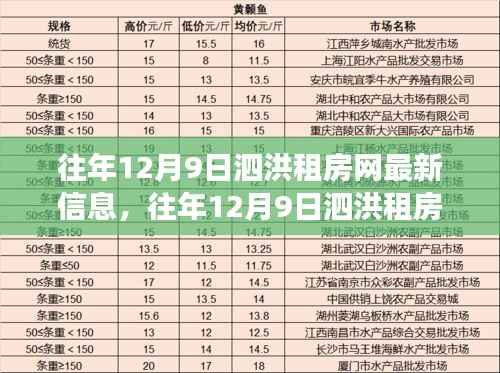 往年12月9日泗洪租房市场深度解析及最新房源信息与趋势展望