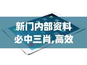 新门内部资料必中三肖,高效说明解析_iPad1.312