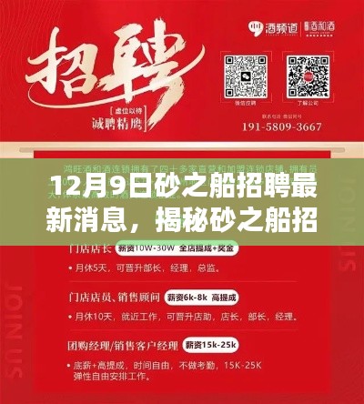 砂之船最新招聘动态揭秘,12月9日招聘信息全解析