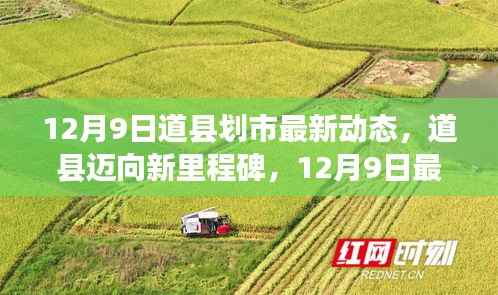 揭秘道县划市最新动态，迈向新里程碑的进展报告（12月9日）