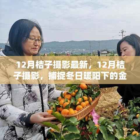 12月桔子摄影，捕捉冬日暖阳下的金色魅力