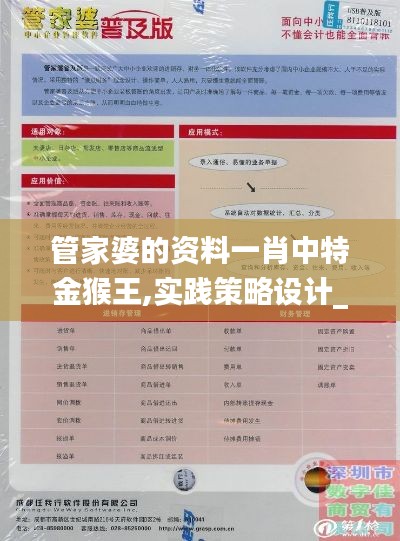 管家婆的资料一肖中特金猴王,实践策略设计_桌面款8.956