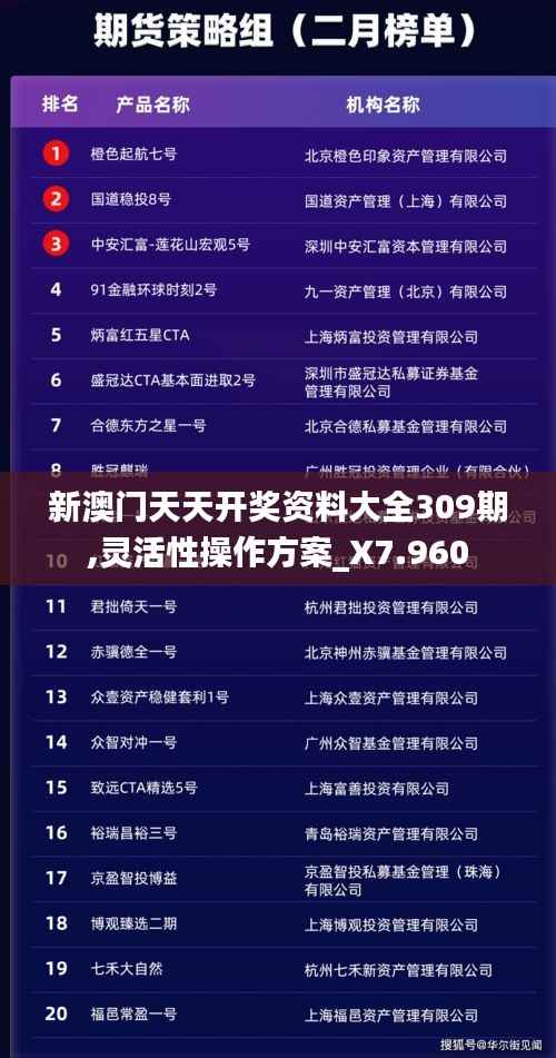 新澳门天天开奖资料大全309期,灵活性操作方案_X7.960