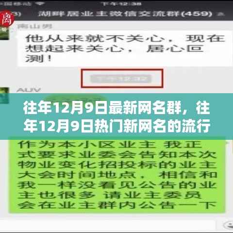 往年12月9日热门网名流行趋势与独特命名群解析