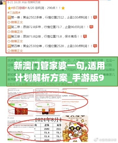 新澳门管家婆一句,适用计划解析方案_手游版9.175
