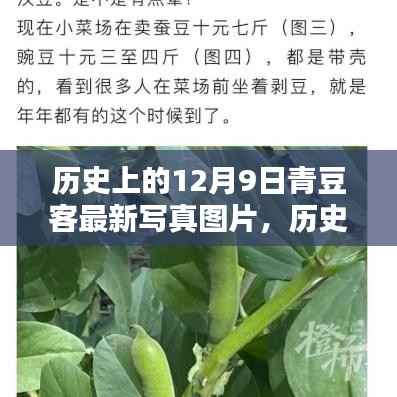 揭秘历史上的青豆客，最新写真图片记录时光印记的印记