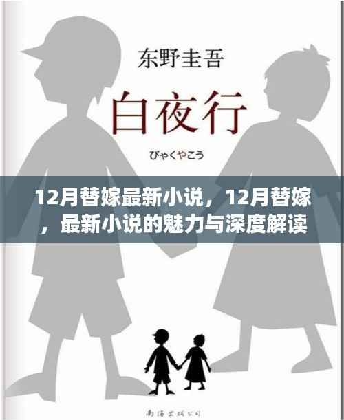 最新替嫁小说魅力与深度解读，揭秘十二月替嫁热潮