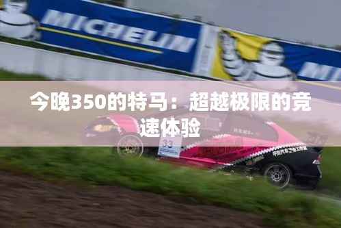 今晚350的特马:超越极限的竞速体验