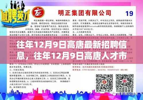 往年12月9日高唐最新招聘信息概览，高唐人才市场最新职位信息一览无余