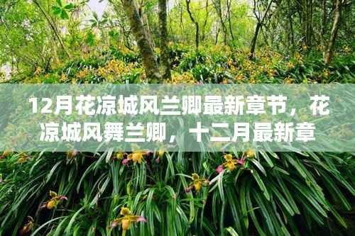 花凉城风舞兰卿，最新章节探秘与十二月精彩回顾