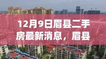 眉县二手房市场风云再起，最新动态揭秘，抢鲜报在眉山地区掀起波澜