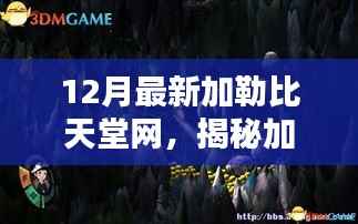 加勒比天堂网揭秘，最新更新与深度探索指南