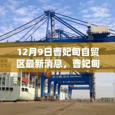 揭秘曹妃甸自贸区最新动态,迈入崭新篇章的最新消息
