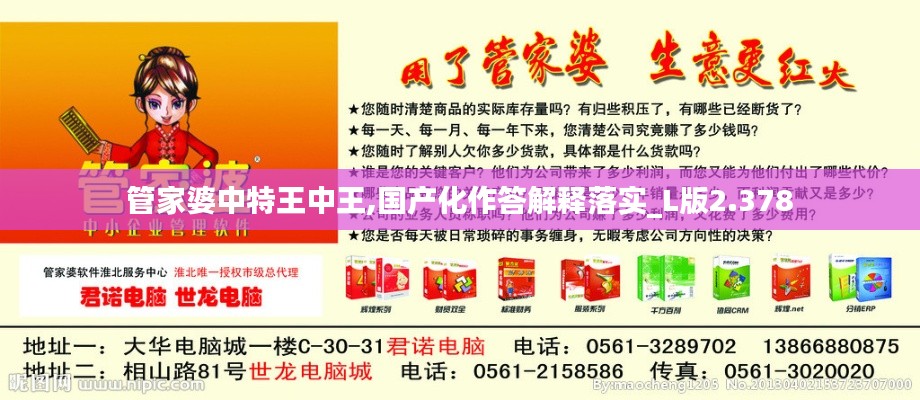 管家婆中特王中王,国产化作答解释落实_L版2.378