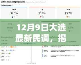 深度解析,最新民调揭示12月9日大选民意走向
