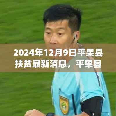 平果县扶贫事业再获突破，最新动态与未来展望（2024年12月版）