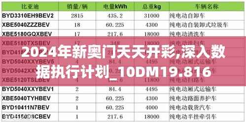 2024年新奥门天天开彩,深入数据执行计划_10DM19.816