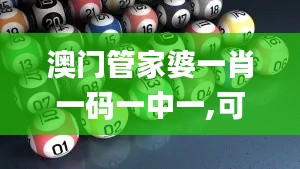 澳门管家婆一肖一码一中一,可靠操作策略方案_Q6.174