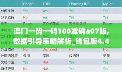 澳门一码一码100准确a07版,数据引导策略解析_钱包版4.459