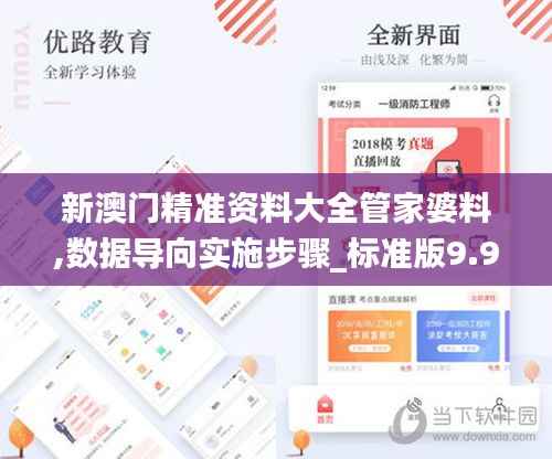 新澳门精准资料大全管家婆料,数据导向实施步骤_标准版9.927