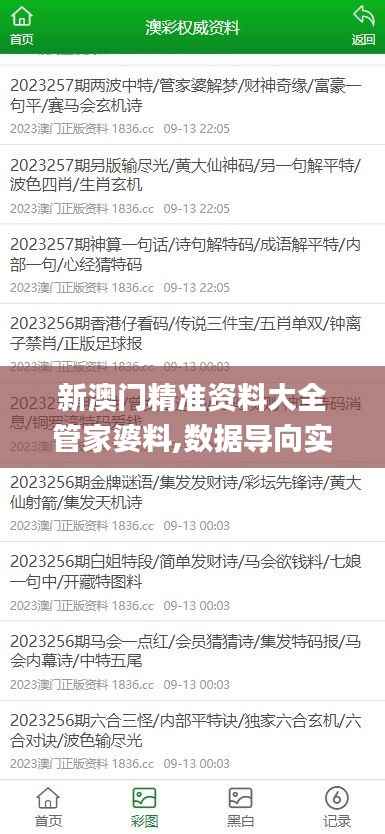 新澳门精准资料大全管家婆料,数据导向实施步骤_标准版9.927
