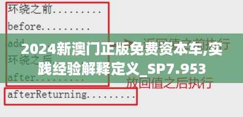2024新澳门正版免费资本车,实践经验解释定义_SP7.953