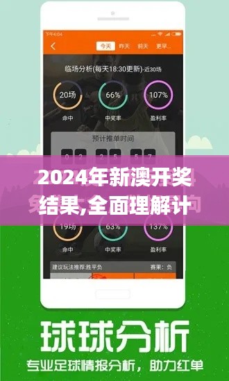 2024年新澳开奖结果,全面理解计划_RX版2.623
