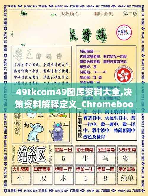 49tkcom49图库资料大全,决策资料解释定义_Chromebook9.106