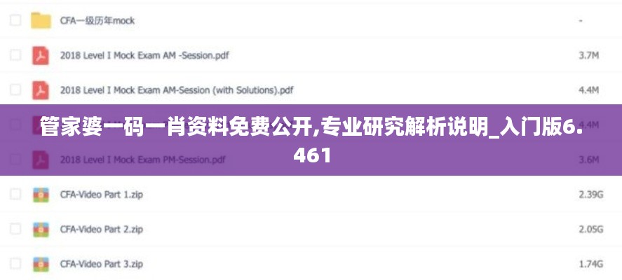 管家婆一码一肖资料免费公开,专业研究解析说明_入门版6.461