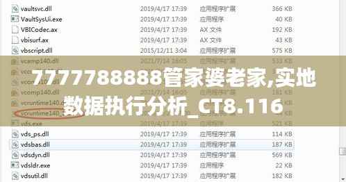 7777788888管家婆老家,实地数据执行分析_CT8.116