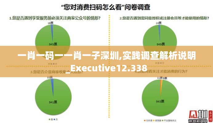 一肖一码一一肖一子深圳,实践调查解析说明_Executive12.338