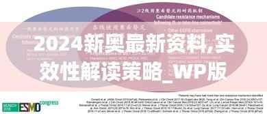 2024新奥最新资料,实效性解读策略_WP版1.441