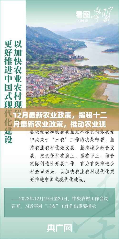 揭秘最新农业政策，推动农业现代化，助力乡村振兴行动启动于十二月