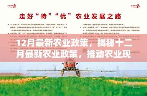 揭秘最新农业政策,推动农业现代化,助力乡村振兴行动启动于十二月