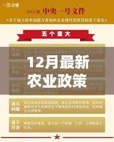 揭秘最新农业政策,推动农业现代化,助力乡村振兴行动启动于十二月