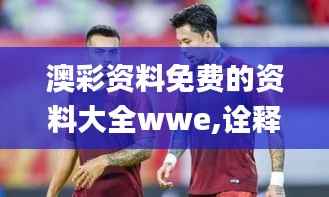 澳彩资料免费的资料大全wwe,诠释评估说明_Premium10.376