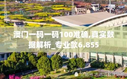 澳门一码一码100准确,真实数据解析_专业款6.855