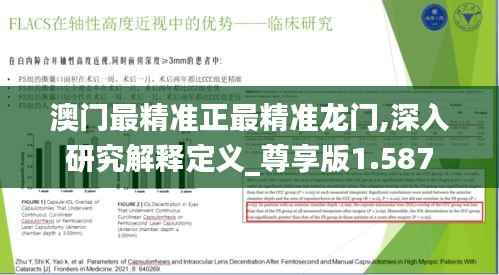 澳门最精准正最精准龙门,深入研究解释定义_尊享版1.587