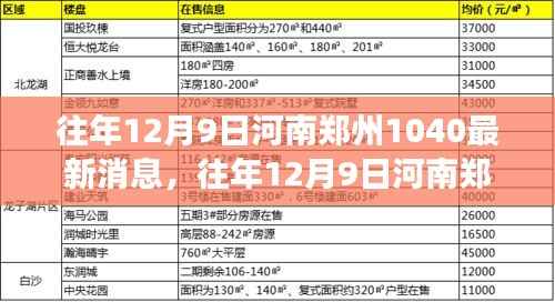 河南郑州1040现象，深度解析与最新消息观察