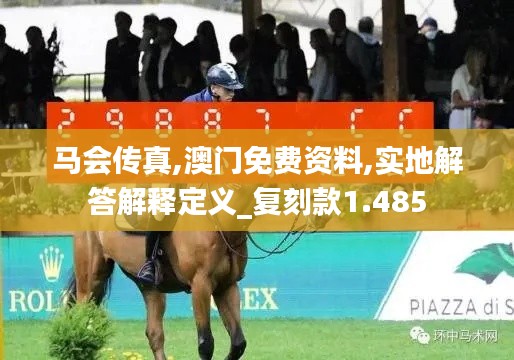 马会传真,澳门免费资料,实地解答解释定义_复刻款1.485