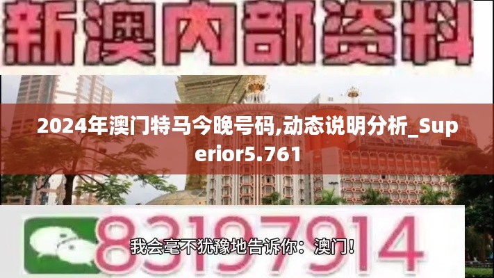 2024年澳门特马今晚号码,动态说明分析_Superior5.761