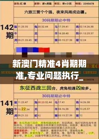 新澳门精准4肖期期准,专业问题执行_高级款3.765